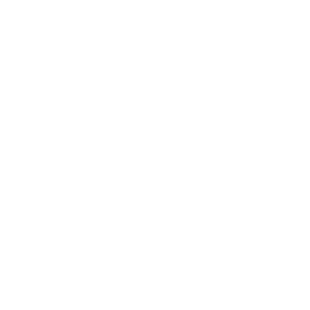 THE WITCHERS SHOP LOGO