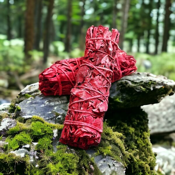 Atado Sahumerio  Sangre de Dragón - Imagen 3